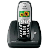 Siemens Gigaset C450